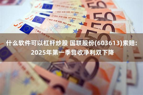 什么软件可以杠杆炒股 国联股份(603613)索赔: 2025年第一季营收净利双下降