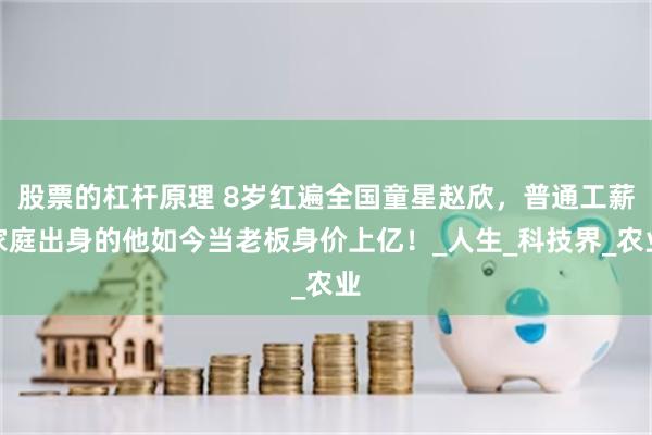 股票的杠杆原理 8岁红遍全国童星赵欣，普通工薪家庭出身的他如今当老板身价上亿！_人生_科技界_农业