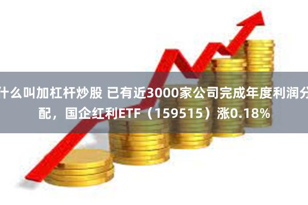 什么叫加杠杆炒股 已有近3000家公司完成年度利润分配，国企红利ETF（159515）涨0.18%