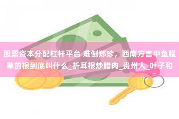 股票资本分配杠杆平台 难倒郑珍，西南方言中鱼腥草的根到底叫什么_折耳根炒腊肉_贵州人_叶子和
