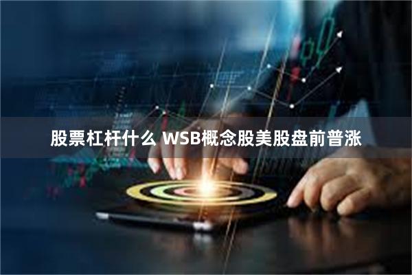 股票杠杆什么 WSB概念股美股盘前普涨