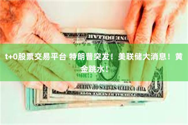 t+0股票交易平台 特朗普突发！美联储大消息！黄金跳水！