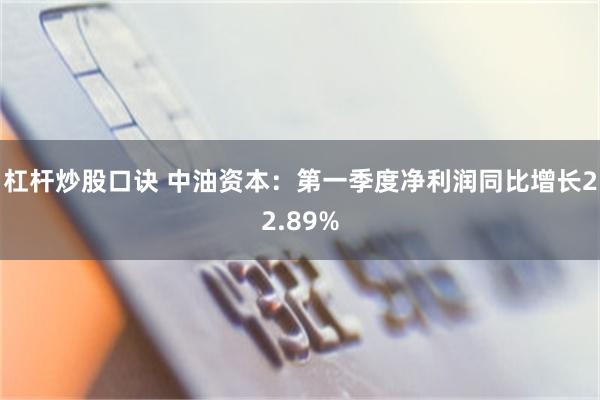杠杆炒股口诀 中油资本：第一季度净利润同比增长22.89%