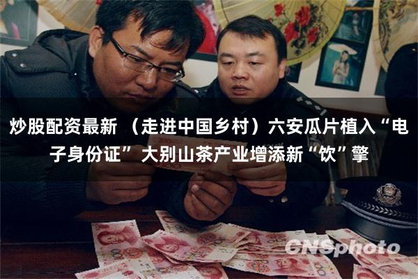 炒股配资最新 (走进中国乡村)六安瓜片植入“电子身份证” 大别山茶产业增添新“饮”擎