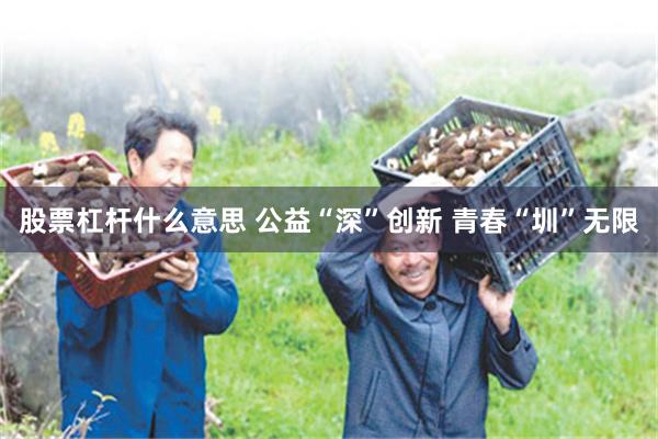 股票杠杆什么意思 公益“深”创新 青春“圳”无限