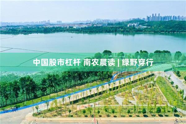 中国股市杠杆 南农晨读 | 绿野穿行