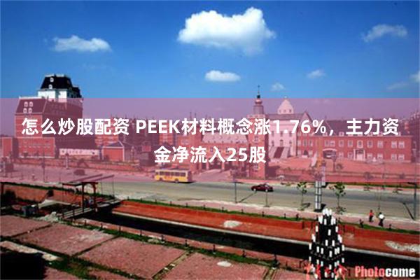怎么炒股配资 PEEK材料概念涨1.76%，主力资金净流入25股
