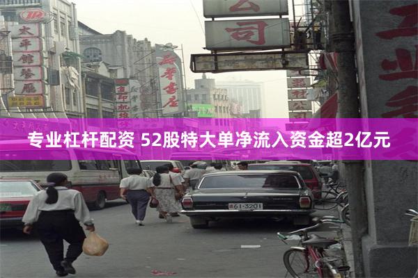 专业杠杆配资 52股特大单净流入资金超2亿元