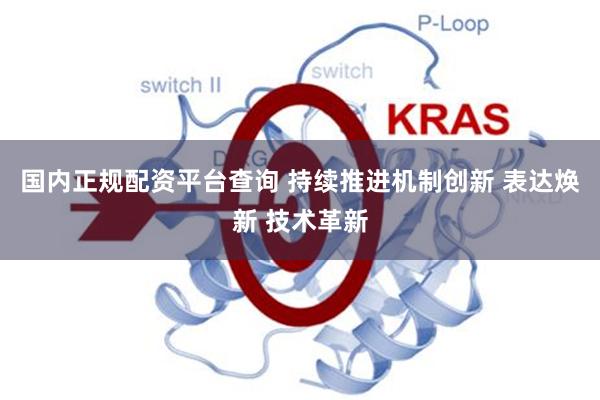 国内正规配资平台查询 持续推进机制创新 表达焕新 技术革新