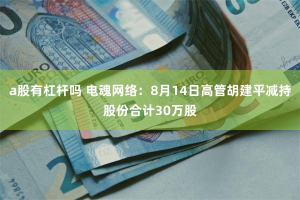 a股有杠杆吗 电魂网络：8月14日高管胡建平减持股份合计30万股