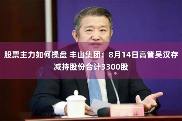 股票主力如何操盘 丰山集团：8月14日高管吴汉存减持股份合计3300股