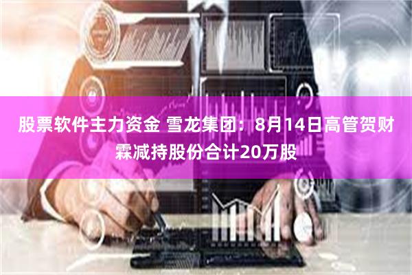 股票软件主力资金 雪龙集团：8月14日高管贺财霖减持股份合计20万股