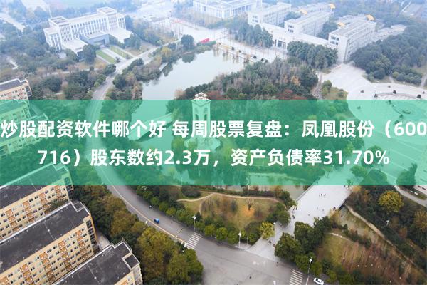 炒股配资软件哪个好 每周股票复盘：凤凰股份（600716）股东数约2.3万，资产负债率31.70%