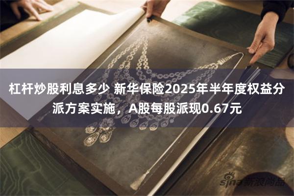 杠杆炒股利息多少 新华保险2025年半年度权益分派方案实施，A股每股派现0.67元