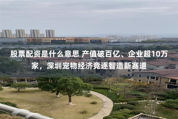 股票配资是什么意思 产值破百亿、企业超10万家，深圳宠物经济竞逐智造新赛道