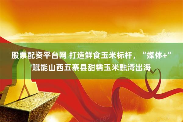 股票配资平台网 打造鲜食玉米标杆，“媒体+”赋能山西五寨县甜糯玉米融湾出海
