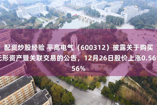 配资炒股经验 平高电气（600312）披露关于购买无形资产暨关联交易的公告，12月26日股价上涨0.56%