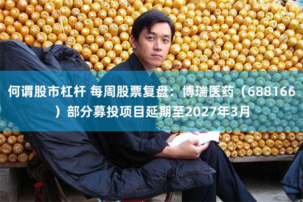 何谓股市杠杆 每周股票复盘：博瑞医药（688166）部分募投项目延期至2027年3月