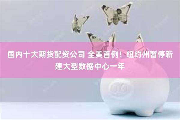 国内十大期货配资公司 全美首例！纽约州暂停新建大型数据中心一年
