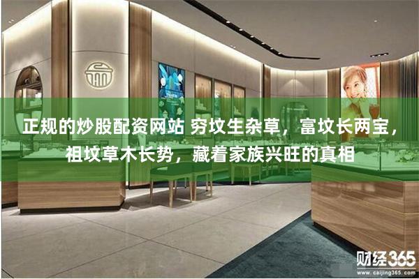 正规的炒股配资网站 穷坟生杂草，富坟长两宝，祖坟草木长势，藏着家族兴旺的真相