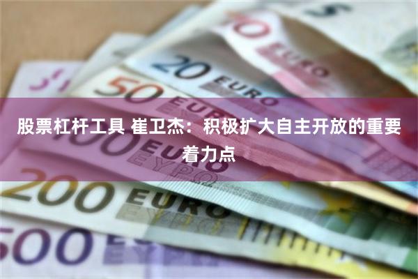 股票杠杆工具 崔卫杰：积极扩大自主开放的重要着力点
