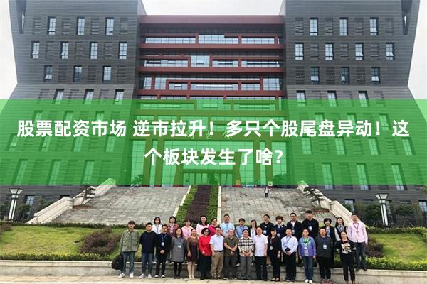 股票配资市场 逆市拉升!多只个股尾盘异动!这个板块发生了啥?