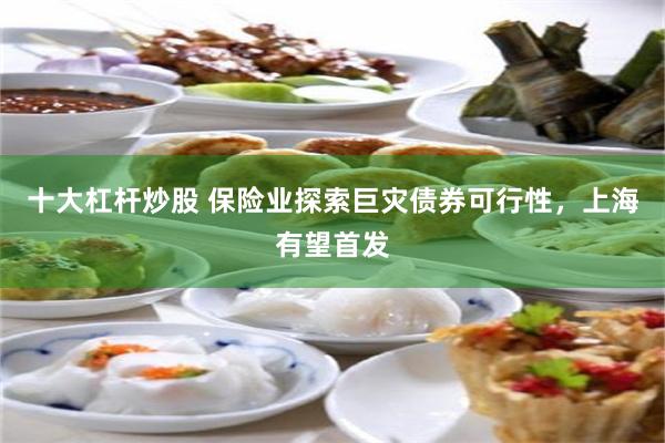 十大杠杆炒股 保险业探索巨灾债券可行性，上海有望首发