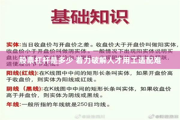 股票杠杆是多少 着力破解人才用工适配难