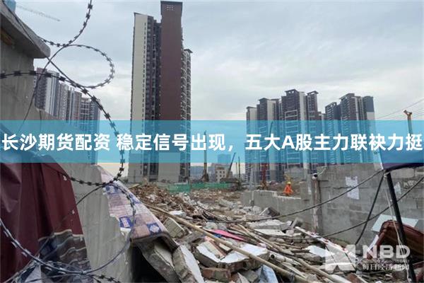 长沙期货配资 稳定信号出现，五大A股主力联袂力挺
