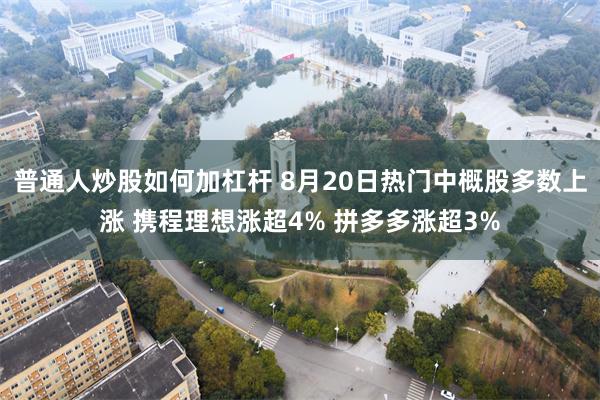 普通人炒股如何加杠杆 8月20日热门中概股多数上涨 携程理想涨超4% 拼多多涨超3%