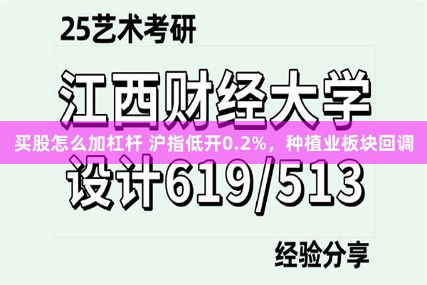 买股怎么加杠杆 沪指低开0.2%，种植业板块回调