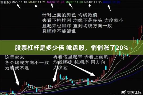 股票杠杆是多少倍 微盘股，悄悄涨了20%