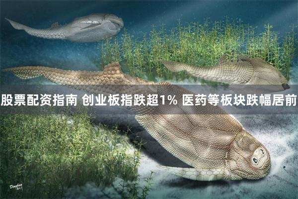 股票配资指南 创业板指跌超1% 医药等板块跌幅居前