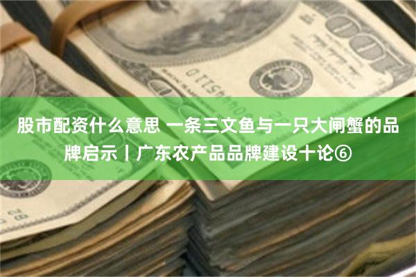 股市配资什么意思 一条三文鱼与一只大闸蟹的品牌启示丨广东农产品品牌建设十论⑥