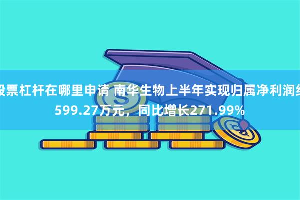 股票杠杆在哪里申请 南华生物上半年实现归属净利润约599.27万元，同比增长271.99%