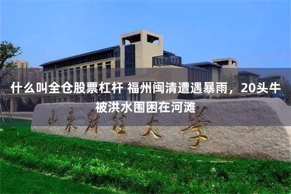 什么叫全仓股票杠杆 福州闽清遭遇暴雨，20头牛被洪水围困在河滩