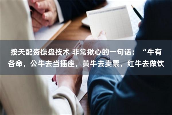 按天配资操盘技术 非常揪心的一句话： “牛有各命，公牛去当插座，黄牛去卖票，红牛去做饮