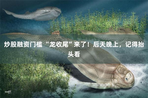 炒股融资门槛 “龙收尾”来了！后天晚上，记得抬头看