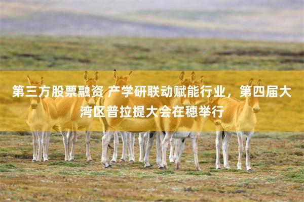 第三方股票融资 产学研联动赋能行业，第四届大湾区普拉提大会在穗举行