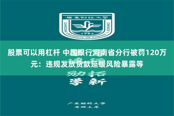 股票可以用杠杆 中国银行河南省分行被罚120万元：违规发放贷款延缓风险暴露等