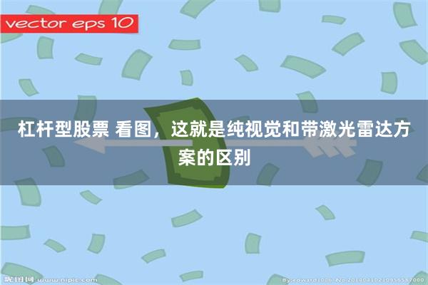 杠杆型股票 看图，这就是纯视觉和带激光雷达方案的区别