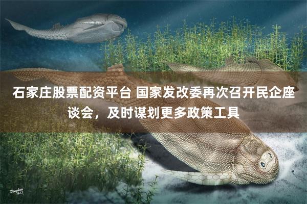 石家庄股票配资平台 国家发改委再次召开民企座谈会，及时谋划更多政策工具