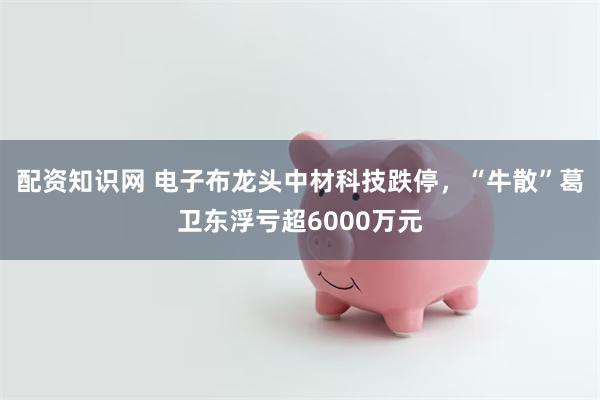 配资知识网 电子布龙头中材科技跌停，“牛散”葛卫东浮亏超6000万元