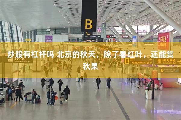 炒股有杠杆吗 北京的秋天，除了看红叶，还能赏秋果