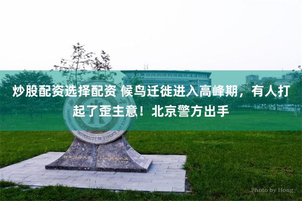 炒股配资选择配资 候鸟迁徙进入高峰期，有人打起了歪主意！北京警方出手