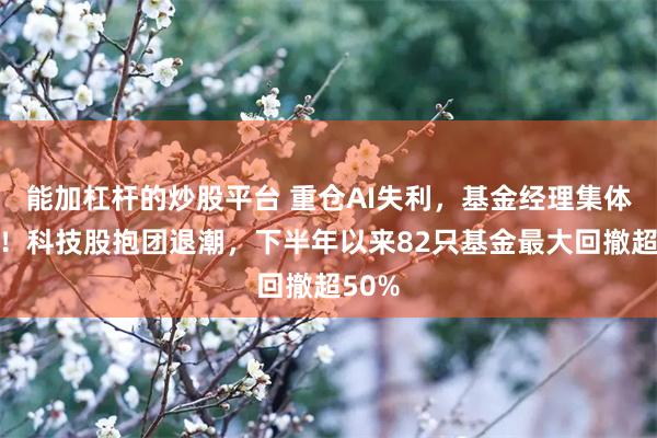能加杠杆的炒股平台 重仓AI失利，基金经理集体反思！科技股抱团退潮，下半年以来82只基金最大回撤超50%